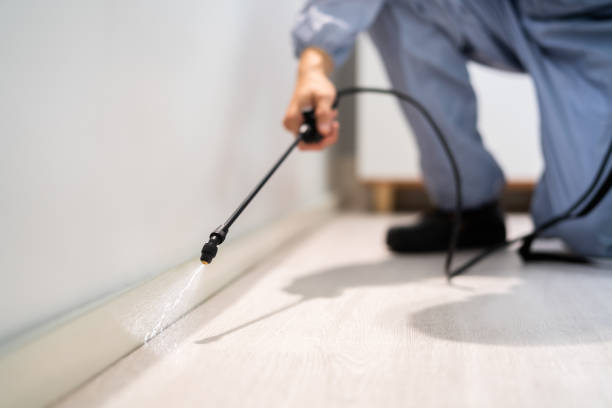 Professional exterminator conducting IPM assessment in Shawneetown